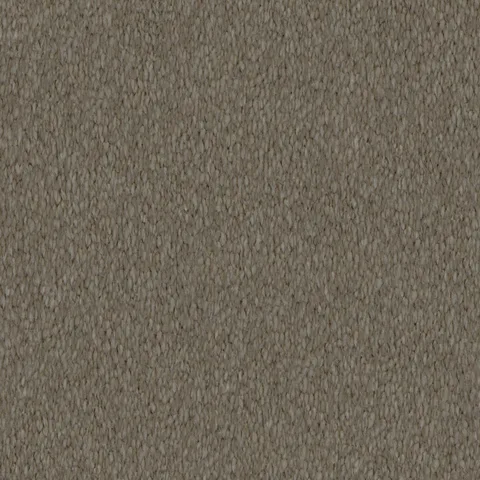 Celtic Brown carpet swatch